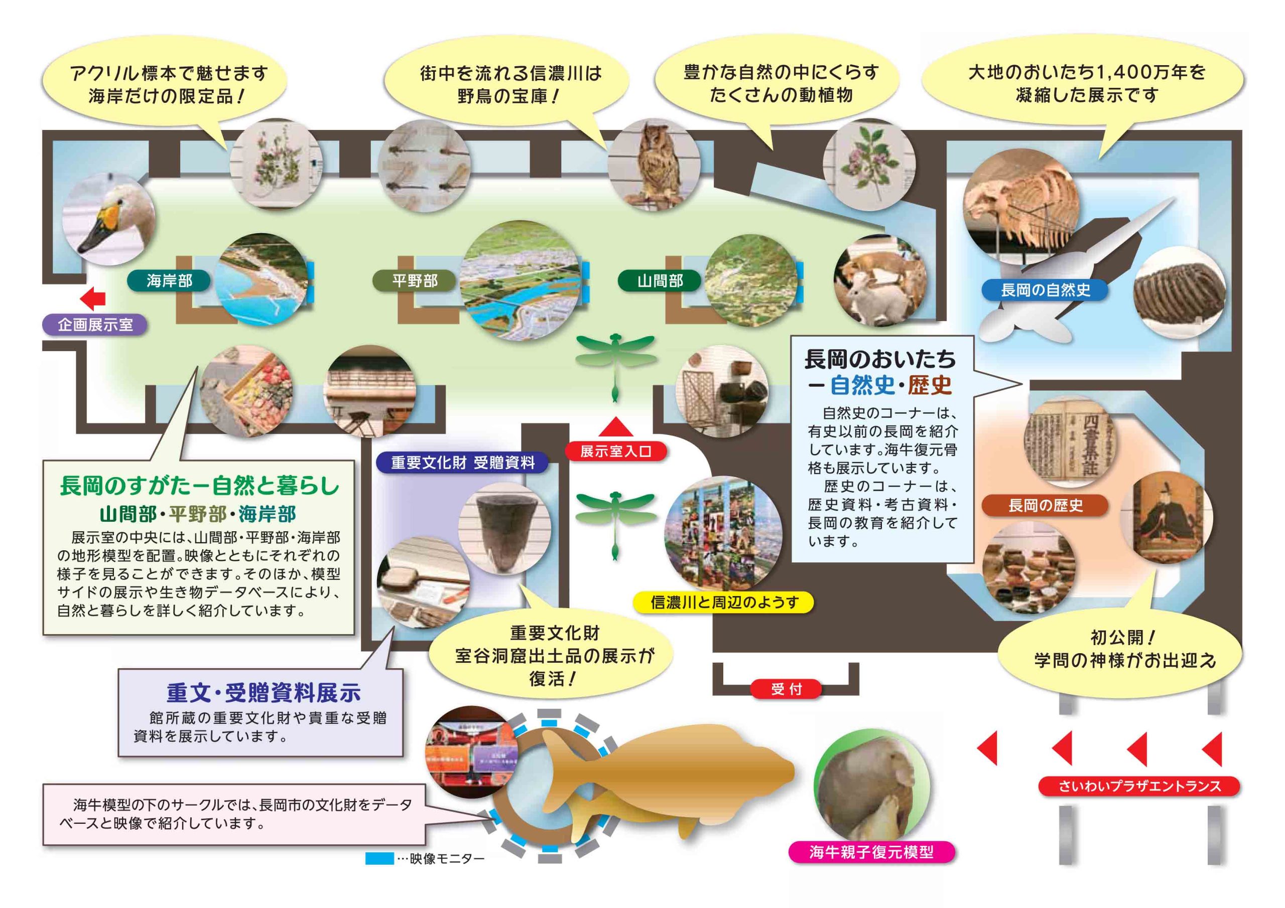 施設案内 長岡市立科学博物館 施設案内 長岡市立科学博物館