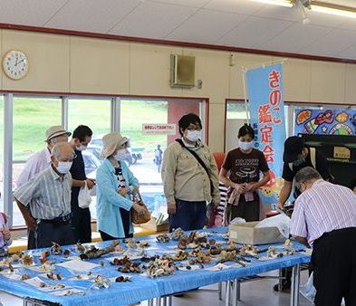 キノコを調べる会