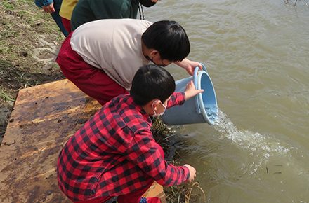 柿川サケの放流学習に参加しました！