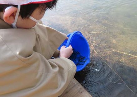 柿川サケの放流学習に参加しました！