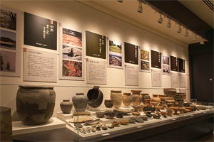 長岡市立科学博物館 長岡の自然と人文の総合博物館