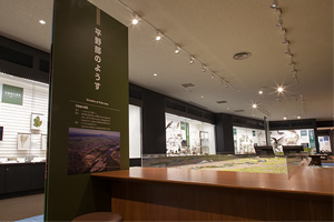 長岡市立科学博物館 長岡の自然と人文の総合博物館 長岡市立科学博物館 長岡の自然と人文の総合博物館
