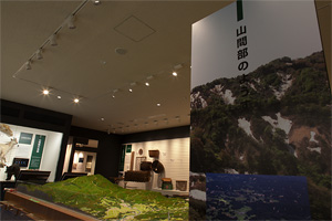 長岡市立科学博物館 長岡の自然と人文の総合博物館 長岡市立科学博物館 長岡の自然と人文の総合博物館