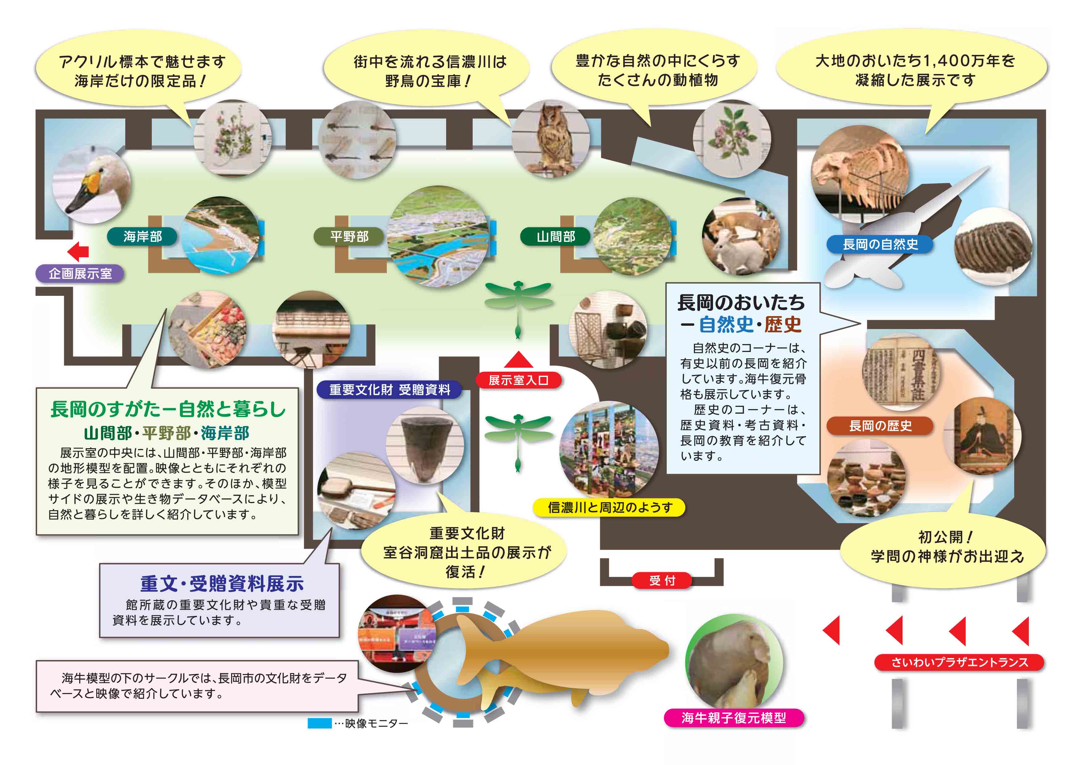 長岡市立科学博物館 長岡の自然と人文の総合博物館 長岡市立科学博物館 長岡の自然と人文の総合博物館